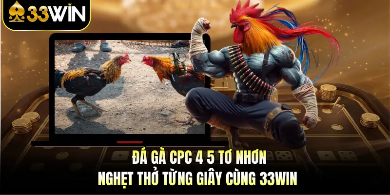Đá Gà CPC 4 5 Tơ Nhơn - Nghẹt Thở Từng Giây Cùng 33WIN 1 Đá Gà CPC 4 5 Tơ Nhơn - Nghẹt Thở Từng Giây Cùng 33WIN