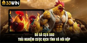 Đá Gà Cựa Dao - Trải Nghiệm Cược Kịch Tính Và Hồi Hộp