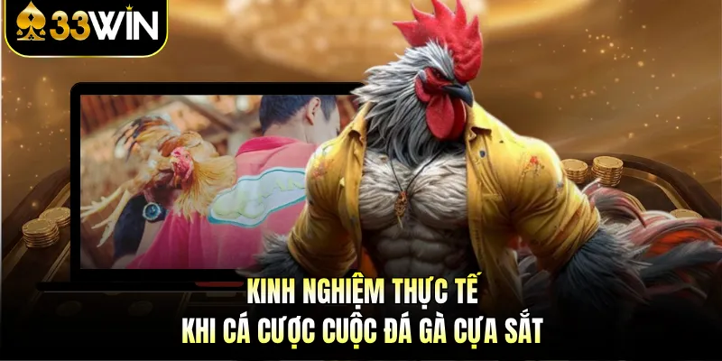 Cuộc Đá Gà Cựa Sắt - Những Cú Đá Bạc Tỷ Trên 33WIN 4 Kinh nghiệm thực tế khi cá cược cuộc đá gà cựa sắt