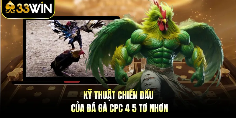 Đá Gà CPC 4 5 Tơ Nhơn - Nghẹt Thở Từng Giây Cùng 33WIN 3 Kỹ thuật chiến đấu của đá gà CPC 4 5 Tơ Nhơn