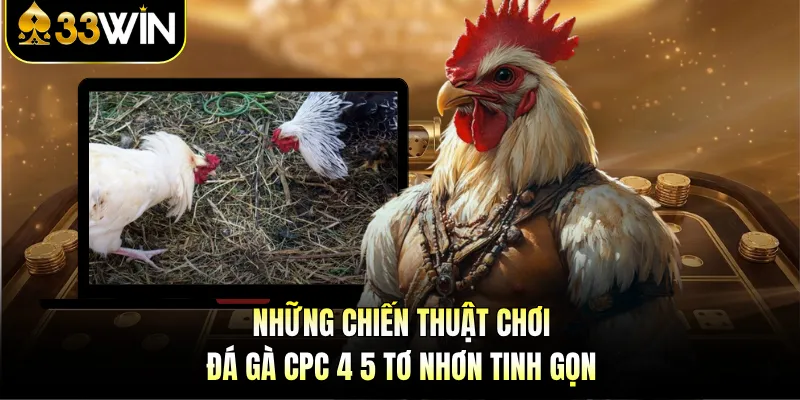 Đá Gà CPC 4 5 Tơ Nhơn - Nghẹt Thở Từng Giây Cùng 33WIN 4 Những chiến thuật chơi đá gà CPC 4 5 Tơ Nhơn tinh gọn