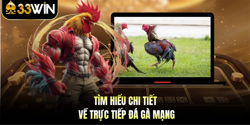 Tìm hiểu chi tiết về trực tiếp đá gà mạng