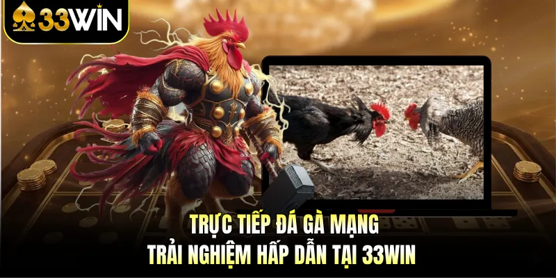 Trực Tiếp Đá Gà Mạng - Trải Nghiệm Hấp Dẫn Tại 33WIN